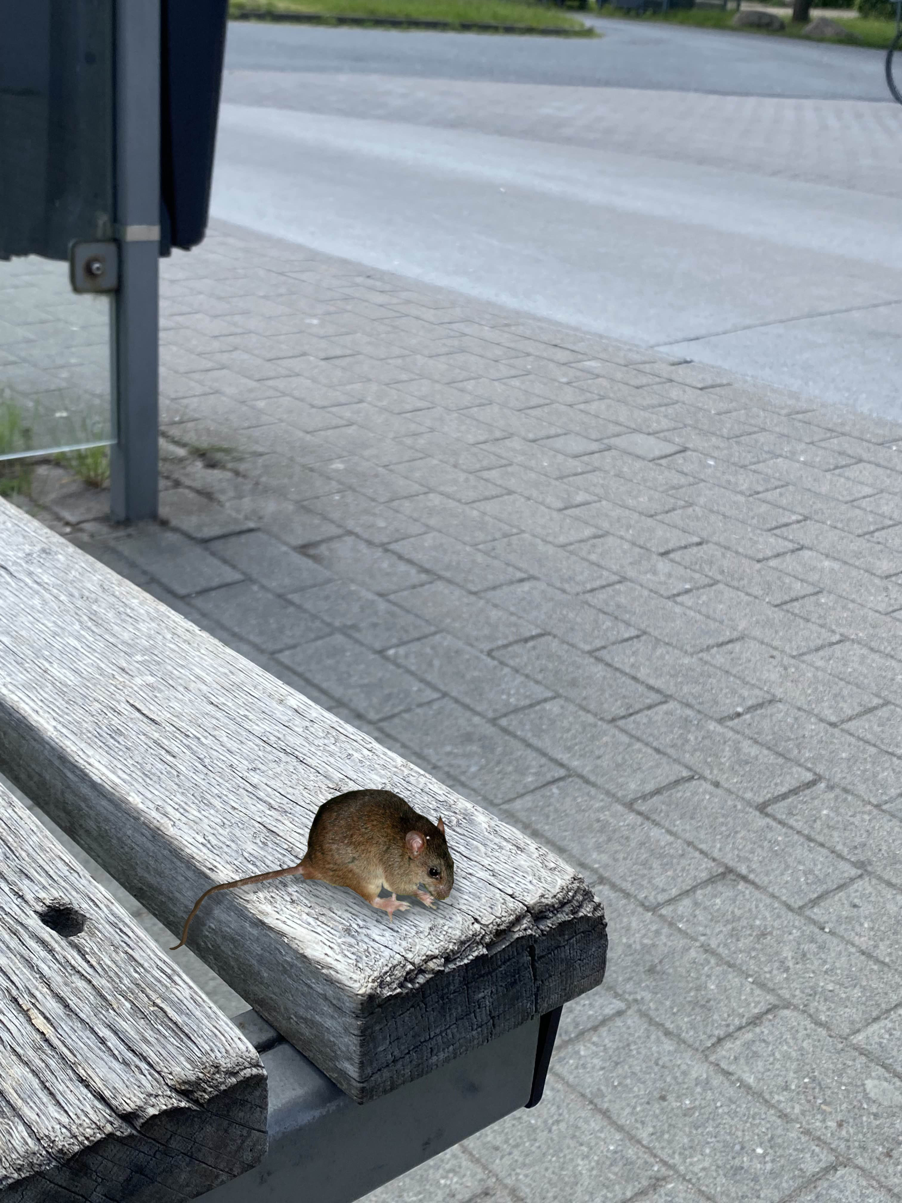 Erstes Bild